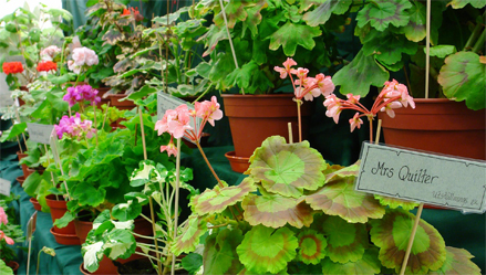 Photo: www.stockholmsmassan.se