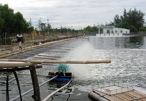 Photo: www.baodaviet.vn