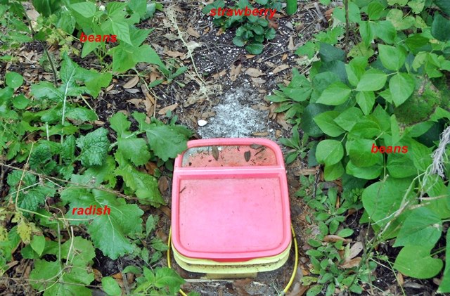 420227_623015207715259_78274091_n