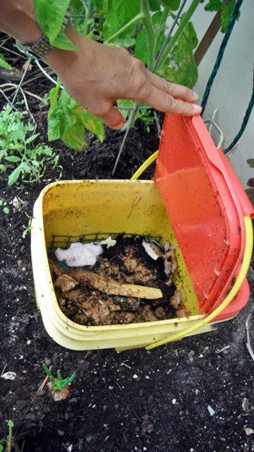 486022_623014204382026_1102061488_n