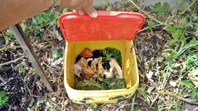 576163_623015671048546_1233207848_n