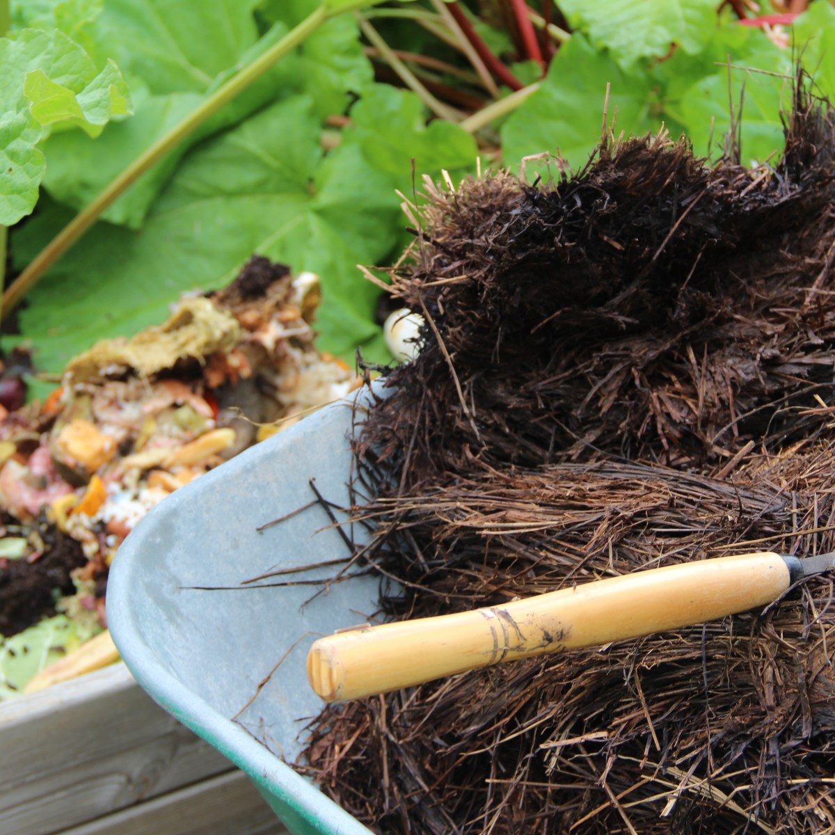 Using silage with Bokashi as&nbsp;mulch
