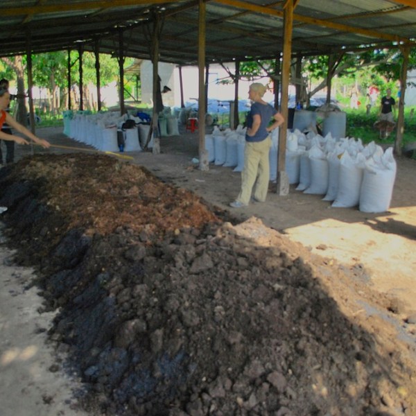 Bokashi instead of chemicals in El&nbsp;Salvador