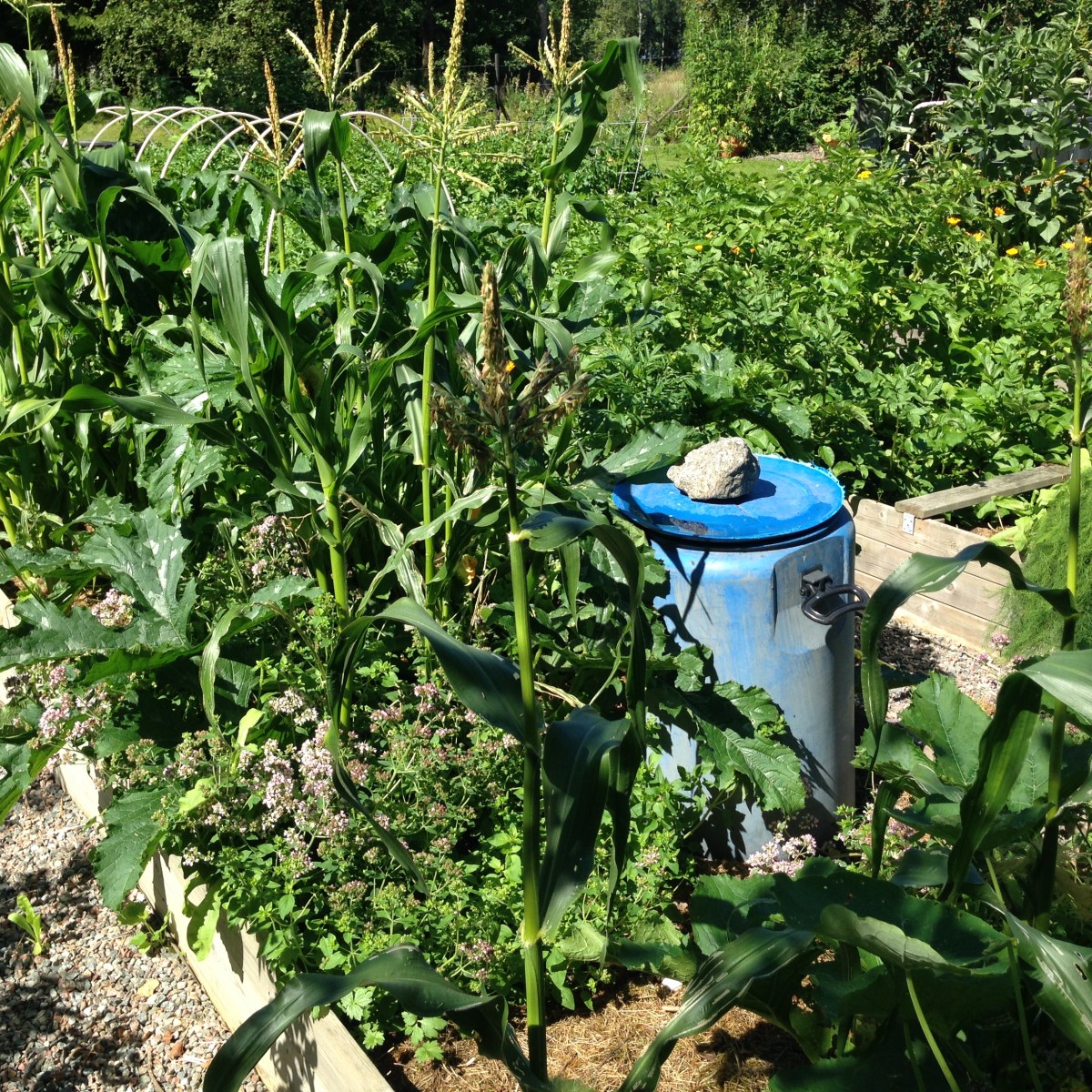 When there’s just no space&nbsp;left…