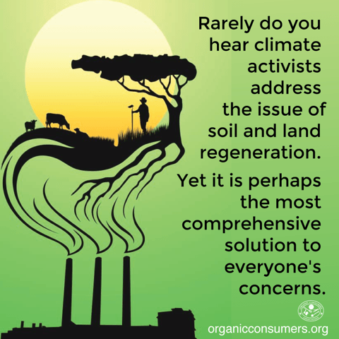 10968455_10152848645119934_1166334746202857131_n