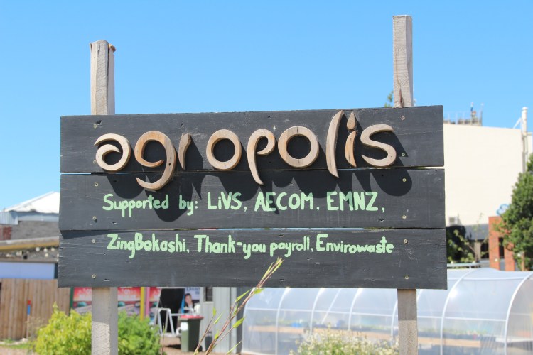 Pop-up gardening in&nbsp;Christchurch