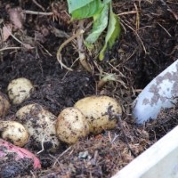 EM-1, EM-A, EM-X — what’s the&nbsp;difference?