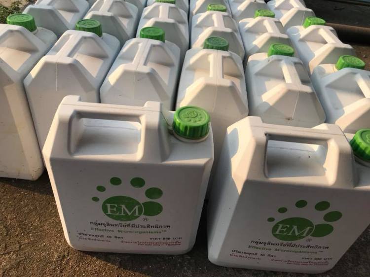 29366254_2048032508558537_5391427860613300224_n