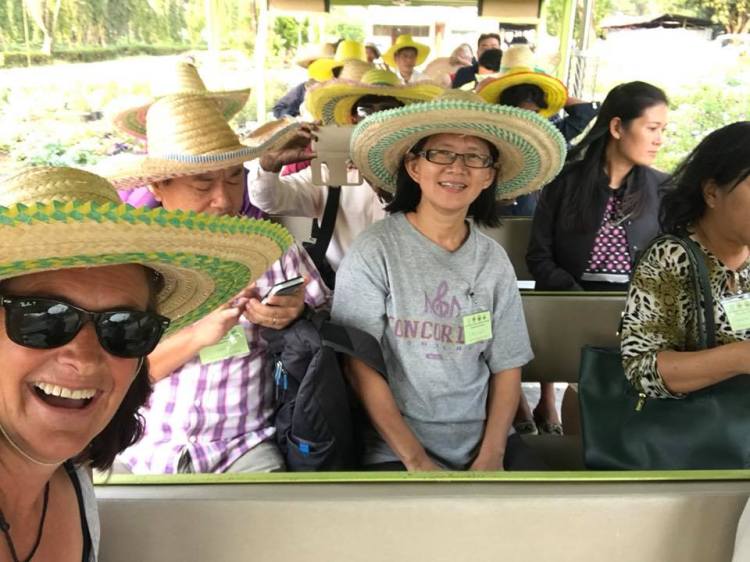 29432229_2048032415225213_4636336935978139648_n