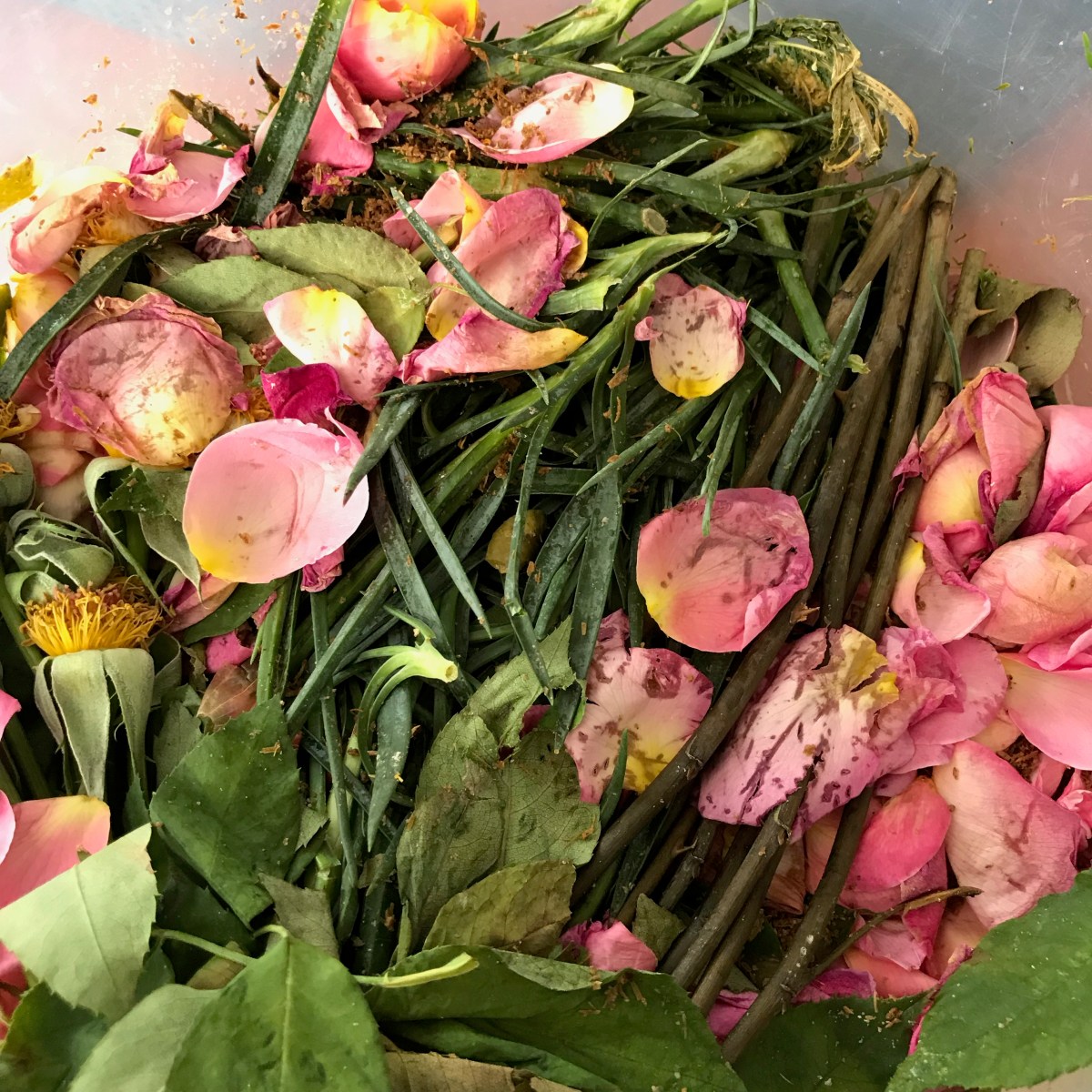 02. Filling your&nbsp;bucket