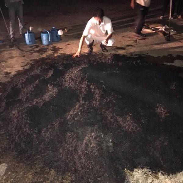 Biochar and bokashi = great&nbsp;combo