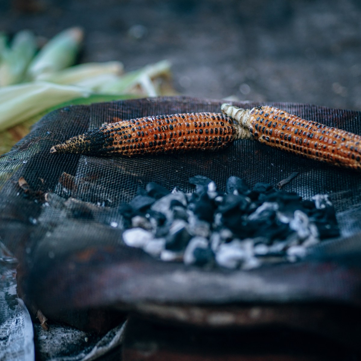 14. Biochar is great with&nbsp;bokashi