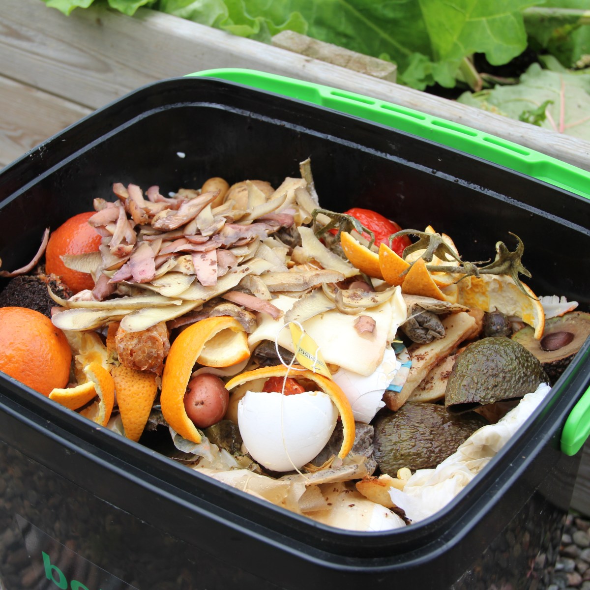 04. Two weeks to&nbsp;ferment