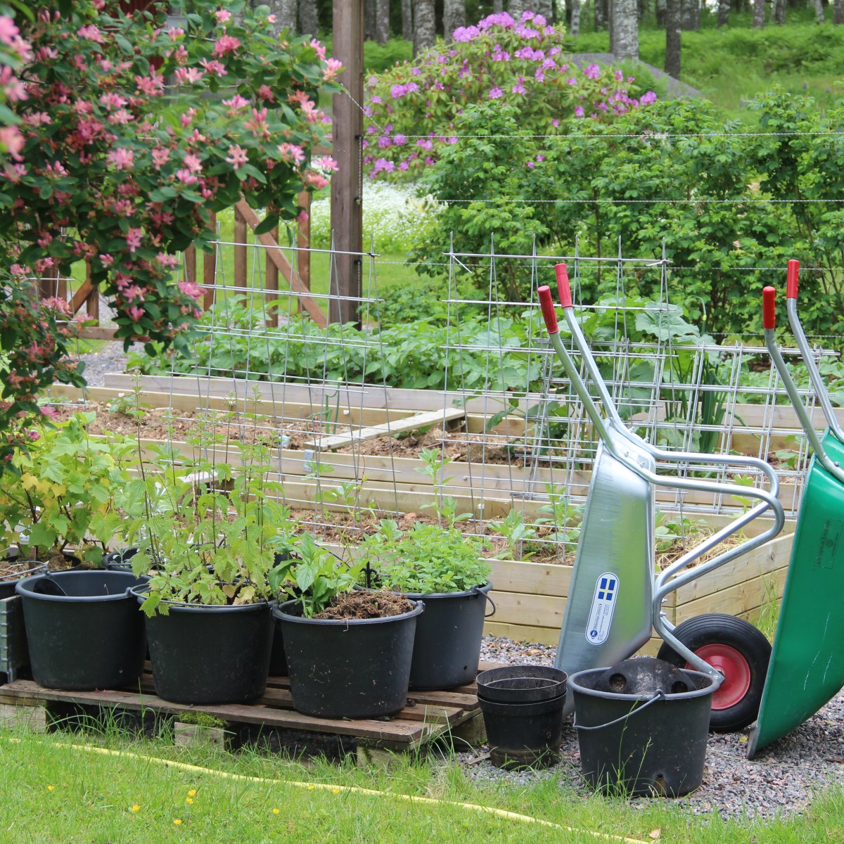 11. Containers and pot&nbsp;plants